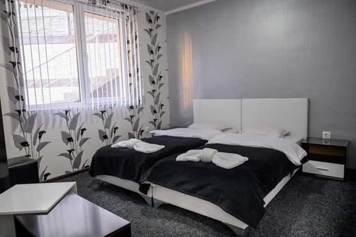 ספרבה בניה Guest House Tedi מראה חיצוני תמונה